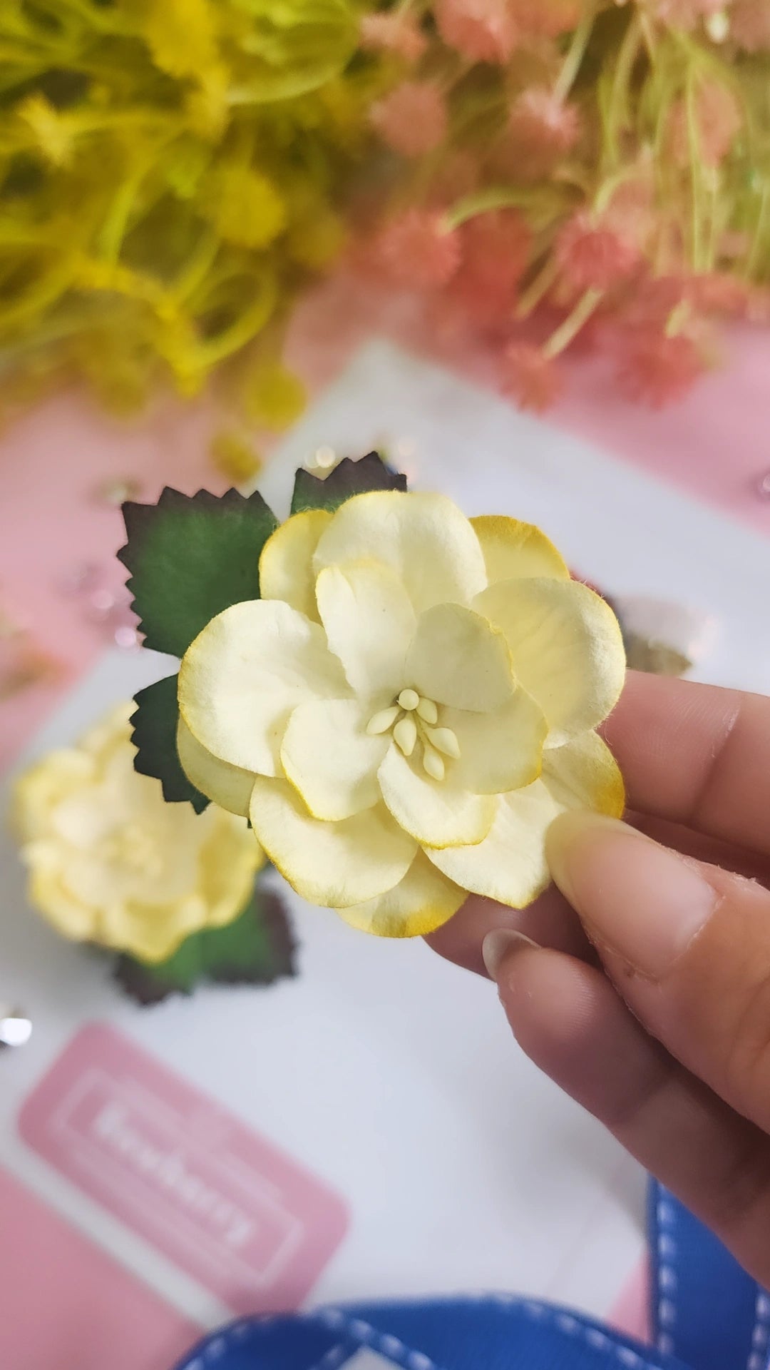 Snow White Clip Set